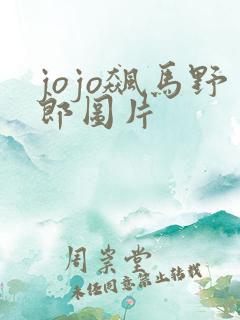 jojo飙马野郎图片
