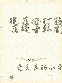 现在拨打的电话在线看韩剧