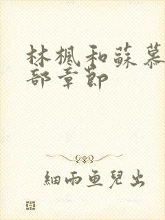 林枫和苏慕白全部章节