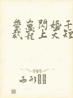 带崽闪婚千亿总裁宠上天短剧免费观看