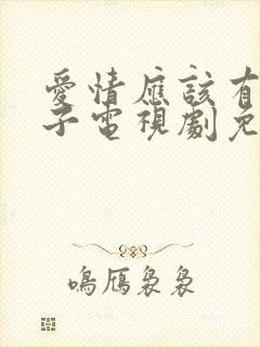 爱情应该有的样子电视剧免费观看