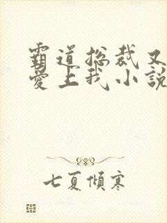 霸道总裁又又又爱上我小说完整版