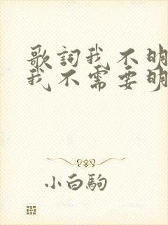 歌词我不明白,我不需要明白爱