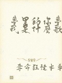 梦里的你梦里的我是什么歌