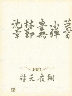 沈林鲁小荣最新章节无弹窗笔趣阁