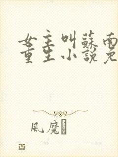 女主叫苏南清的重生小说免费阅读