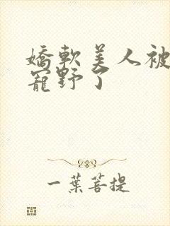 娇软美人被糙汉宠野了