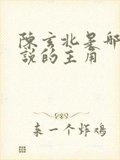 陈玄北是哪部小说的主角