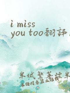 i miss you too翻译成中文
