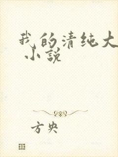 我的清纯大小姐 小说