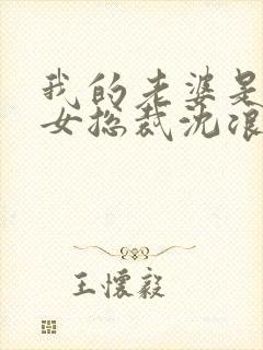 我的老婆是冰山女总裁沈浪最新