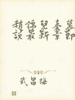 赵锦儿秦慕修小说最新章节阅读