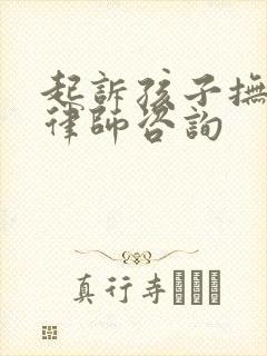 起诉孩子抚养权律师咨询