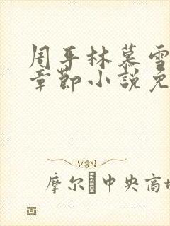 周平林慕雪最新章节小说免费阅读