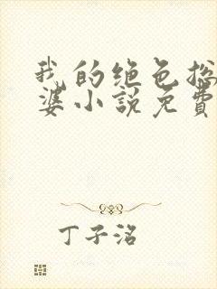 我的绝色总裁老婆小说免费阅读