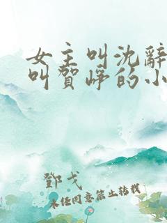 女主叫沈辞男主叫贺峥的小说