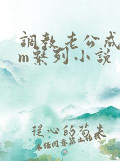 调教老公成绿奴m系列小说