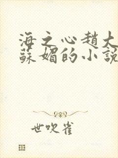 海之心赵大宝和苏媚的小说