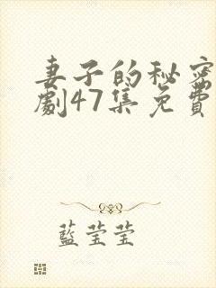 妻子的秘密电视剧47集免费