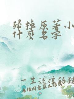 归棹原著小说叫什么名字