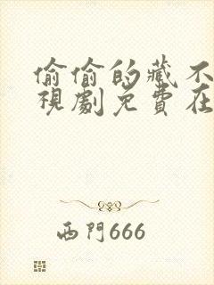 偷偷的藏不住电视剧免费在线