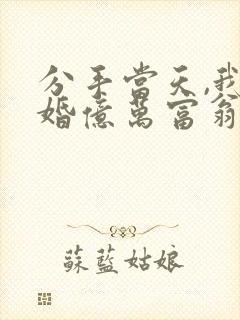 分手当天,我闪婚亿万富翁