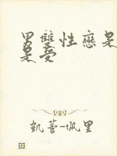 男双性恋是攻还是受