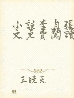 小说李月张勇全文免费阅读