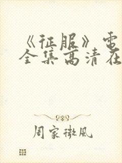 《征服》电视剧全集高清在线观看完