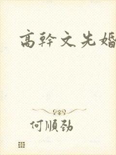 高干文先婚后爱