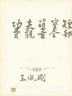 功夫萌宝短剧免费观看全部