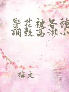 警花被各种刑具调教高潮小说