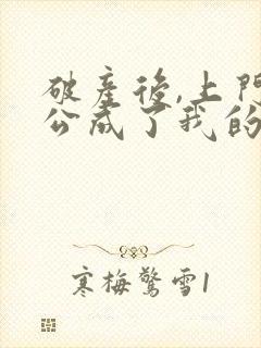 破产后,上门老公成了我的金主小说