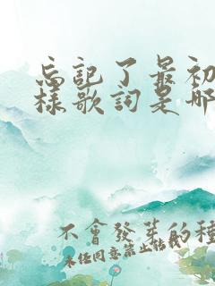 忘记了最初的模样歌词是哪首歌