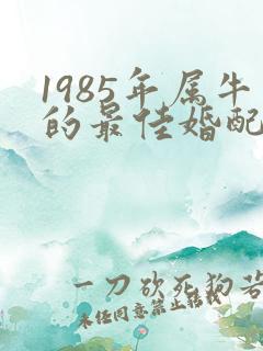 1985年属牛的最佳婚配属相