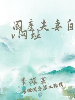 国产夫妻自拍av网址