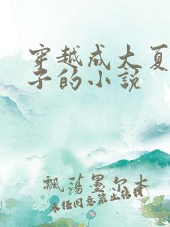 穿越成大夏九皇子的小说