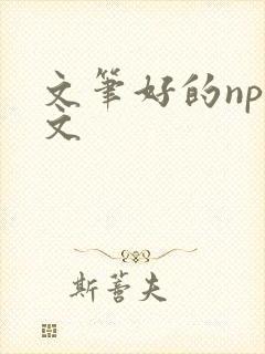 文笔好的np辣文