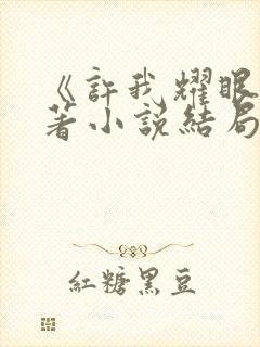 《许我耀眼》原著小说结局