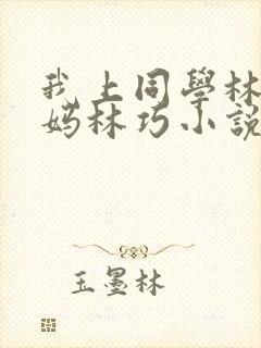 我上同学林虎妈妈林巧小说