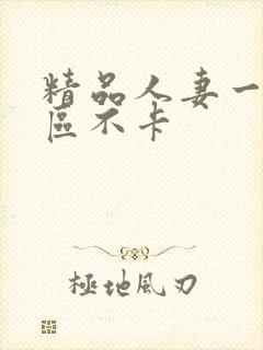 精品人妻一区二区不卡