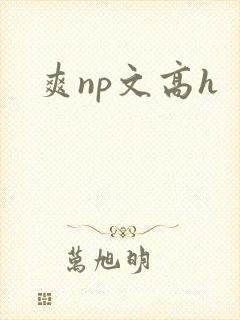 爽np文高h