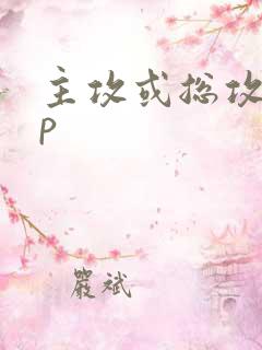 主攻或总攻文np