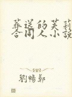 葬送的芙莉莲百合同人小说