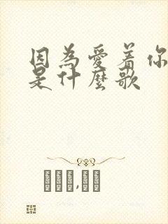 因为爱着你的爱是什么歌