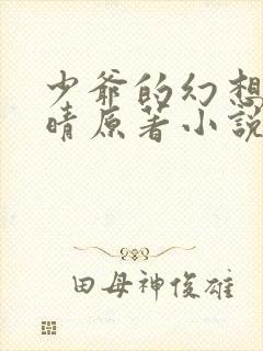 少爷的幻想全晚晴原著小说在线阅读