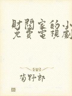 财阀家的小儿子免费电视剧