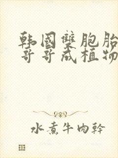 韩国双胞胎兄弟哥哥成植物人