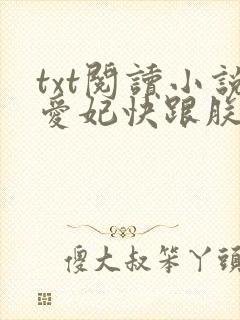 txt阅读小说爱妃快跟朕回家