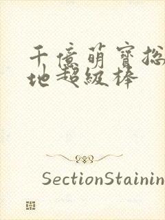 千亿萌宝总裁爹地超级棒